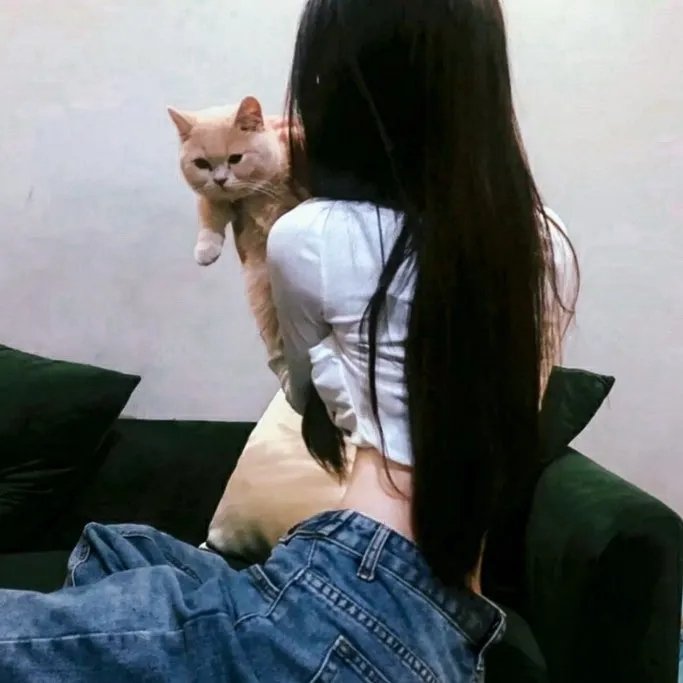 狼群出动